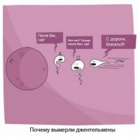  Не стоит забывать про этикет