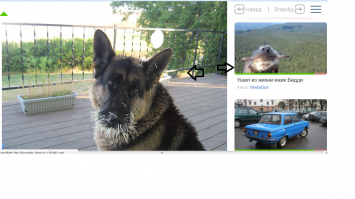 Фотоподборка за 10.03.2015