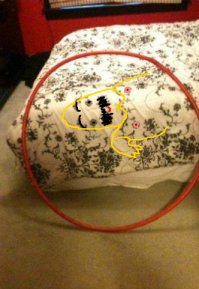 Обручь??? Я думал нужно было увидеть лысого, усатого мужика с голыми сосками.