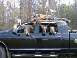 Ни что человеческое, им не чуждо