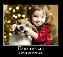 Животные против Нового года