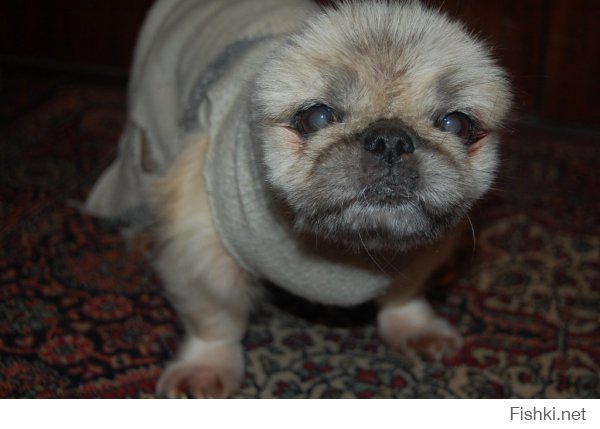 Моя красотка.