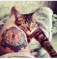 Выставляем фоточки своих домашних любимцев!!!