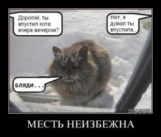 Котоматрицы  на Новый  год 