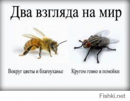 Ну ты и изжога!!!