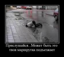 Лужи, которые открывают порталы в другие миры