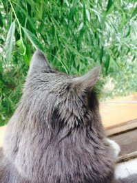 Даже не знаю что там увидели)))ну будем подождать))).