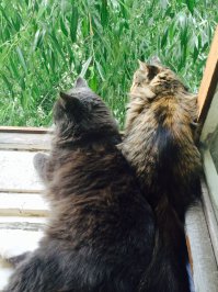 Даже не знаю что там увидели)))ну будем подождать))).