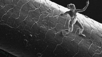 Микро скульптуры авторства Джонти Хурвица