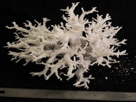 Фульгурит- удар молнии в песок.