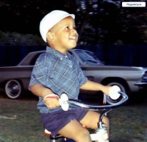 Неужели во всей америке не нашлось ни одного камаза?