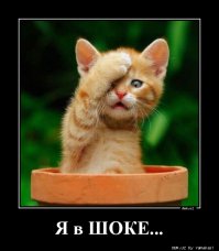 Всем девушкам в честь 8-го марта бесплатно!