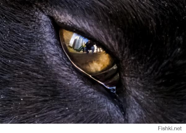 Ну вот собснно и мое сэлфи