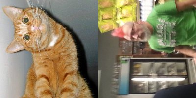 Подборка самых нелепых образов уличной моды