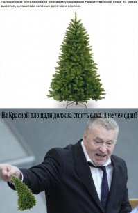 10 самых нелепых рождественских преступлений