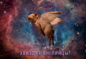 Когда полетят свиньи и отелится сдохшая корова