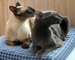 мои ездить не любят =)