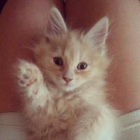 чуть меньше года прошло..:) 
на ручках все так же любим спать=))