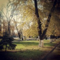 Ростов-на-Дону