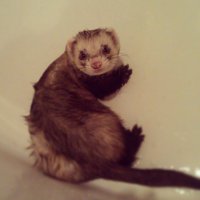 мой не любит ванную=)