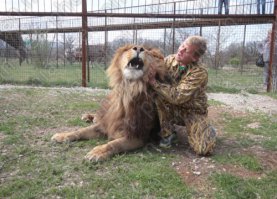 Олег Зубков. Основатель ялтинского зоопарка, а также единственного в Европе парка львов "Тайган" в Крыму. Олег разводит амурских тигров, белых тигров, африканских львов, есть белые львы. Каждого львенка или тигренка выносил "на руках". Кроме того, большущая коллекция самых разных животных. Все животные содержатся не в клетках, а прктически на воле. Сейчас испытывает очень большие трудности с содержанием хищников. Ведь только для "Тайгана" нужно около 3-х тонн мяса в неделю (всетаки пятьдесят львов). Причем, мясо-то нужно не вырезка, а 3-4 категории. К сожалению поставки из Украины практически невозможны по причине той-же "категории". Из России везти очень дорого. Но, здесь не Дания, никто животных умерщвлять не будет, вроде ведутся переговоры с зоопарками других стран об отправке зверей, но, "санкции". Мы ж в Крыму, на "временно оккупированной территории". Так что зачем умиляться экзотической "заграницей", лучше помочь уникальному парку у себя, в России.