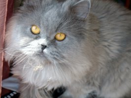 Примерно так))))