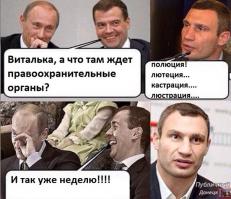 Юные боксеры до и после поединка 