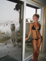 А это наверно мужчина пытается заснуть: - одна овца, две овцы, три овцы, четыре