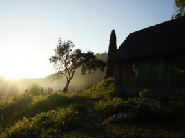 Вообразил себя как-то год назад фотографом, и весь отпуск с женой только и делал, что щелкал все подряд на свою мыльницу, пока она целыми днями лежала тюленем на пляже. Вот все, что у меня вышло. Остальное лучше не показывать)))