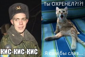 Лучшие интернет-мемы 2014 года 