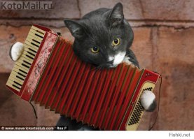 Город ниггеров : Йоханнесбург