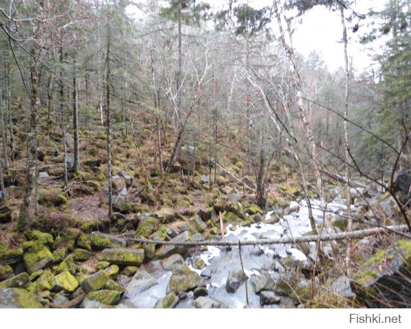 Приморский край.