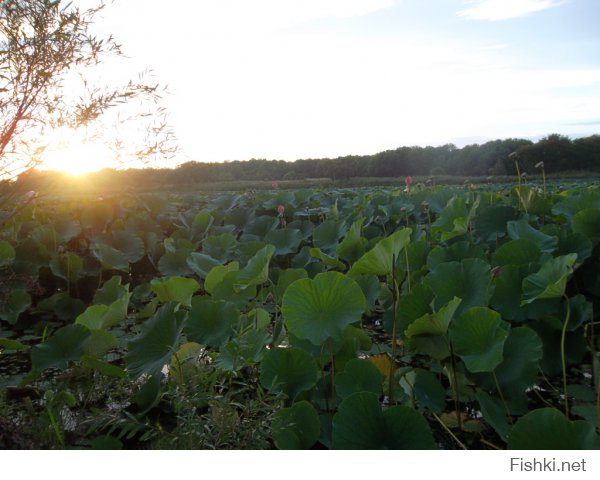 Приморский край.