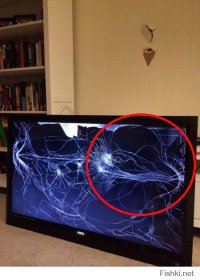 Один я вижу черепашку ниндзя?