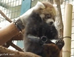 А ну иди сюда, щас наваляю я тебе