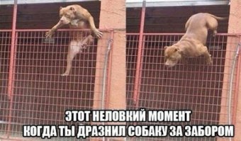 "Проснулся, решил посмотреть на жену. Повернулся"