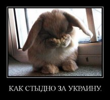 Даже такие ребята дают "прикурить" укропам!