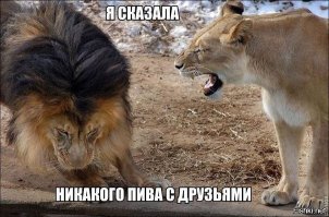 Австралийский отель, в котором можно пообедать со львами