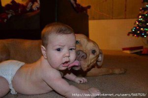 Детям нужны домашние животные