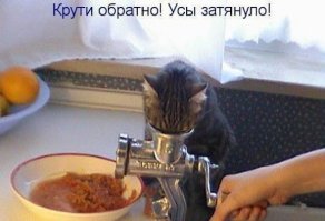Детям нужны домашние животные