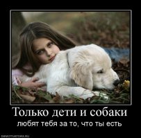 20 фотографий, доказывающих, что нет никого преданнее собаки