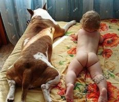 20 фотографий, доказывающих, что нет никого преданнее собаки