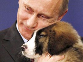 20 фотографий, доказывающих, что нет никого преданнее собаки