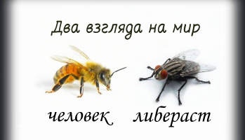 Крaткaя притчa о пчеле и мухе