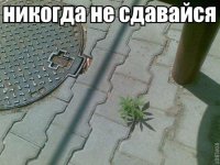 Подборка эмоциональных снимков