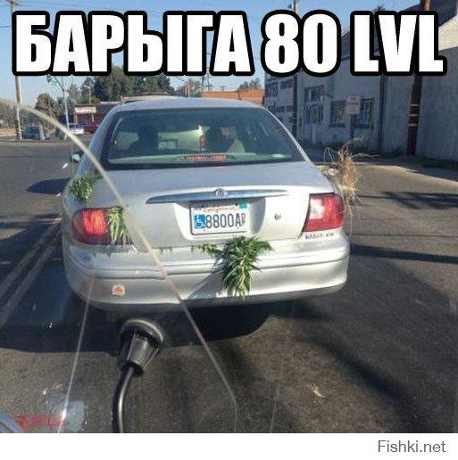 Автоприколы