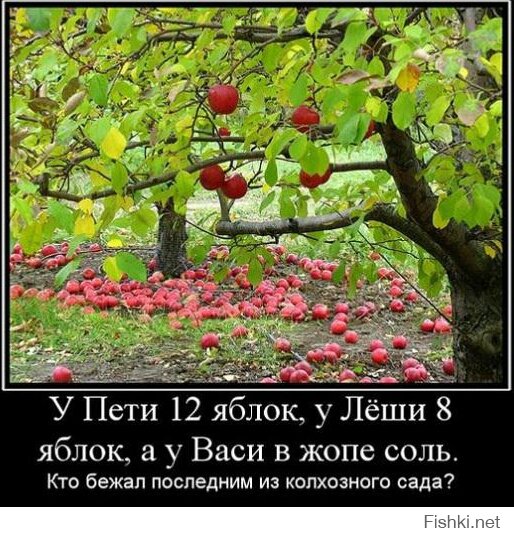 24 задачи из учебников, от которых волосы дыбом встают