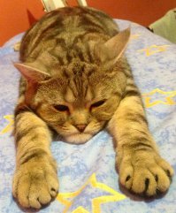 Да что вы знаете о похмелье!