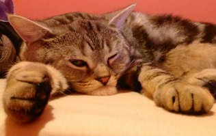 Да что вы знаете о похмелье!