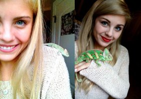 Как они дружно цвет поменяли.